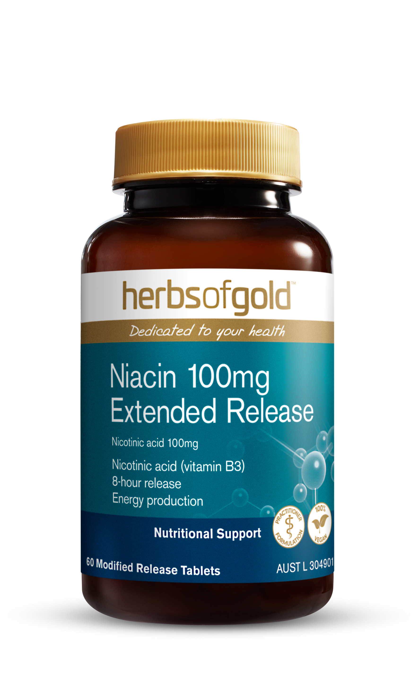 HG NIACIN 100MG EXTENDED RELEASE