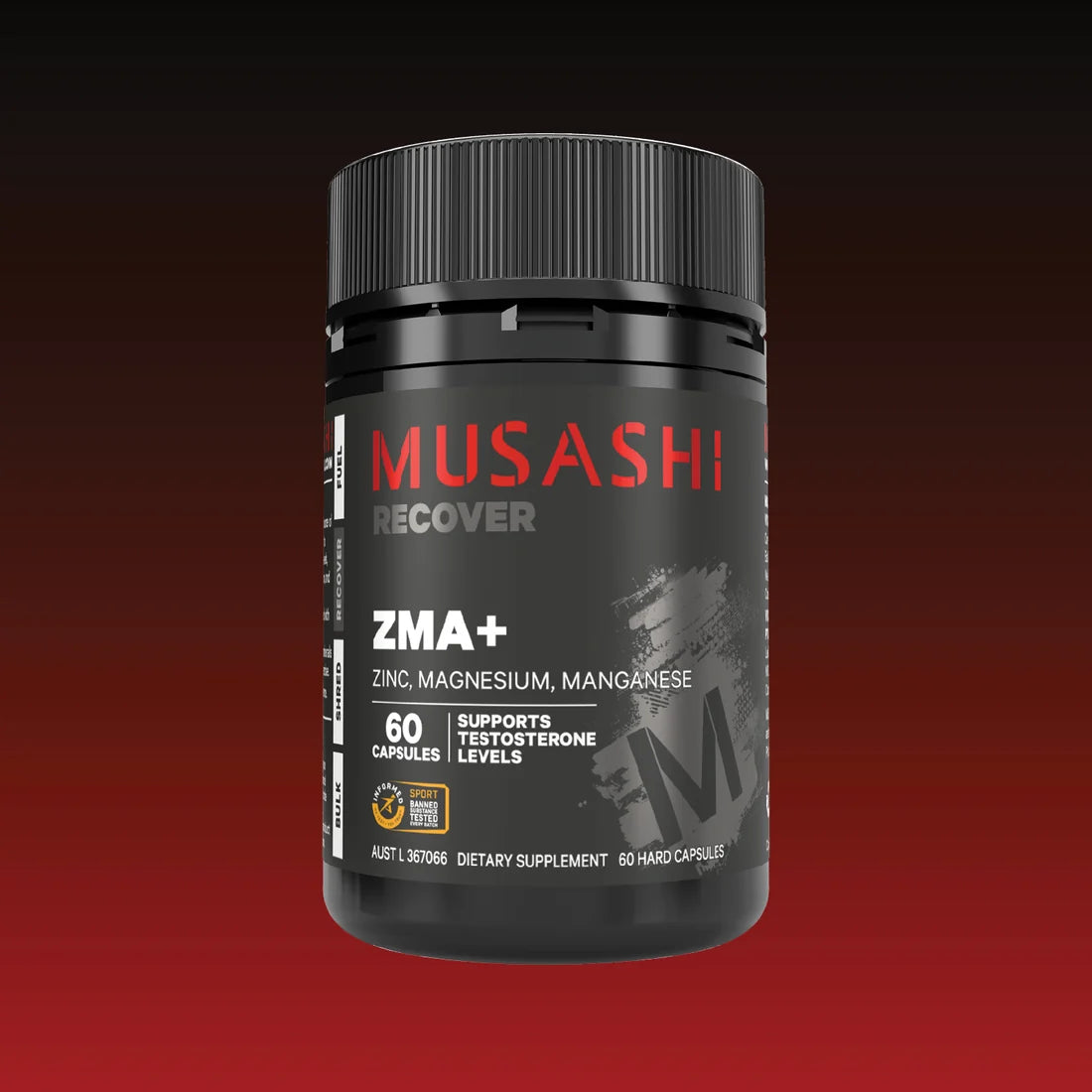 Mus ZMA 60c