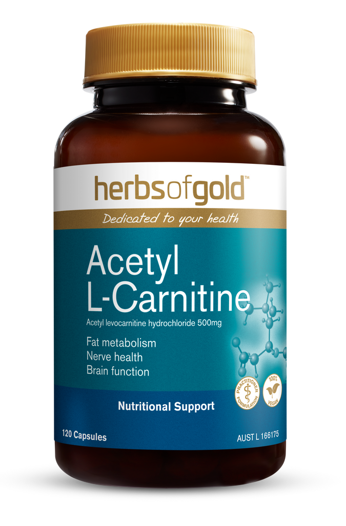 HG ACETYL L-CARNITINE - healthshopplus
