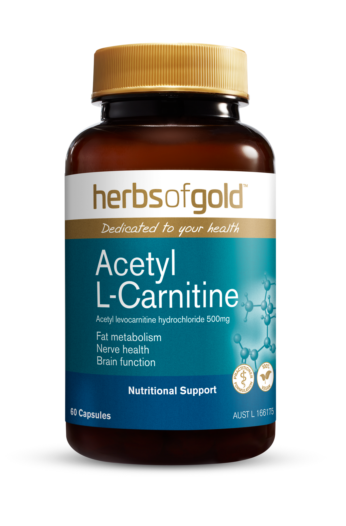 HG ACETYL L-CARNITINE