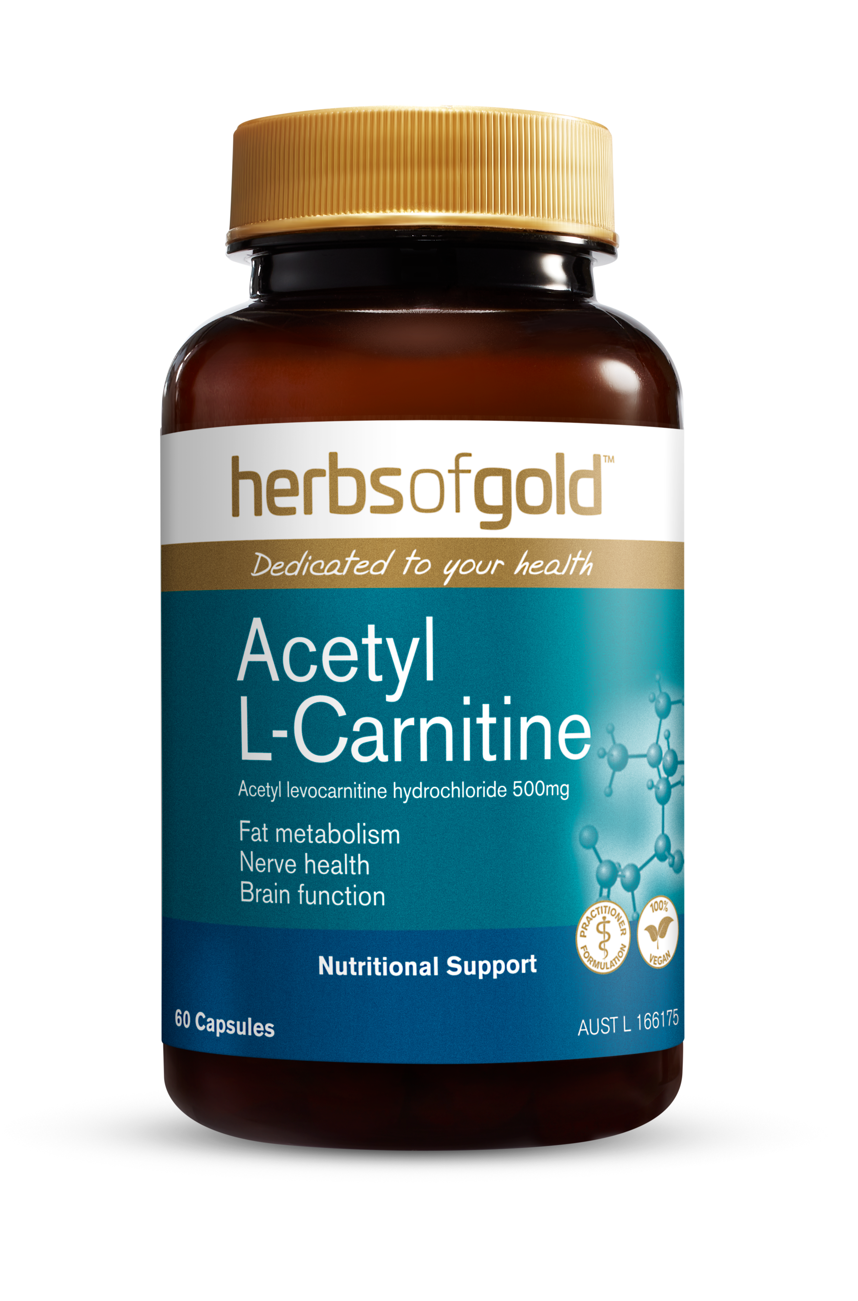 HG ACETYL L-CARNITINE - healthshopplus HG ACETYL L-CARNITINE - healthshopplus