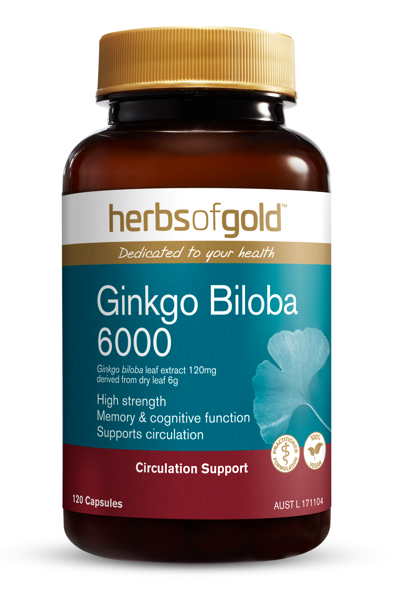 HG GINKGO BILOBA 6000