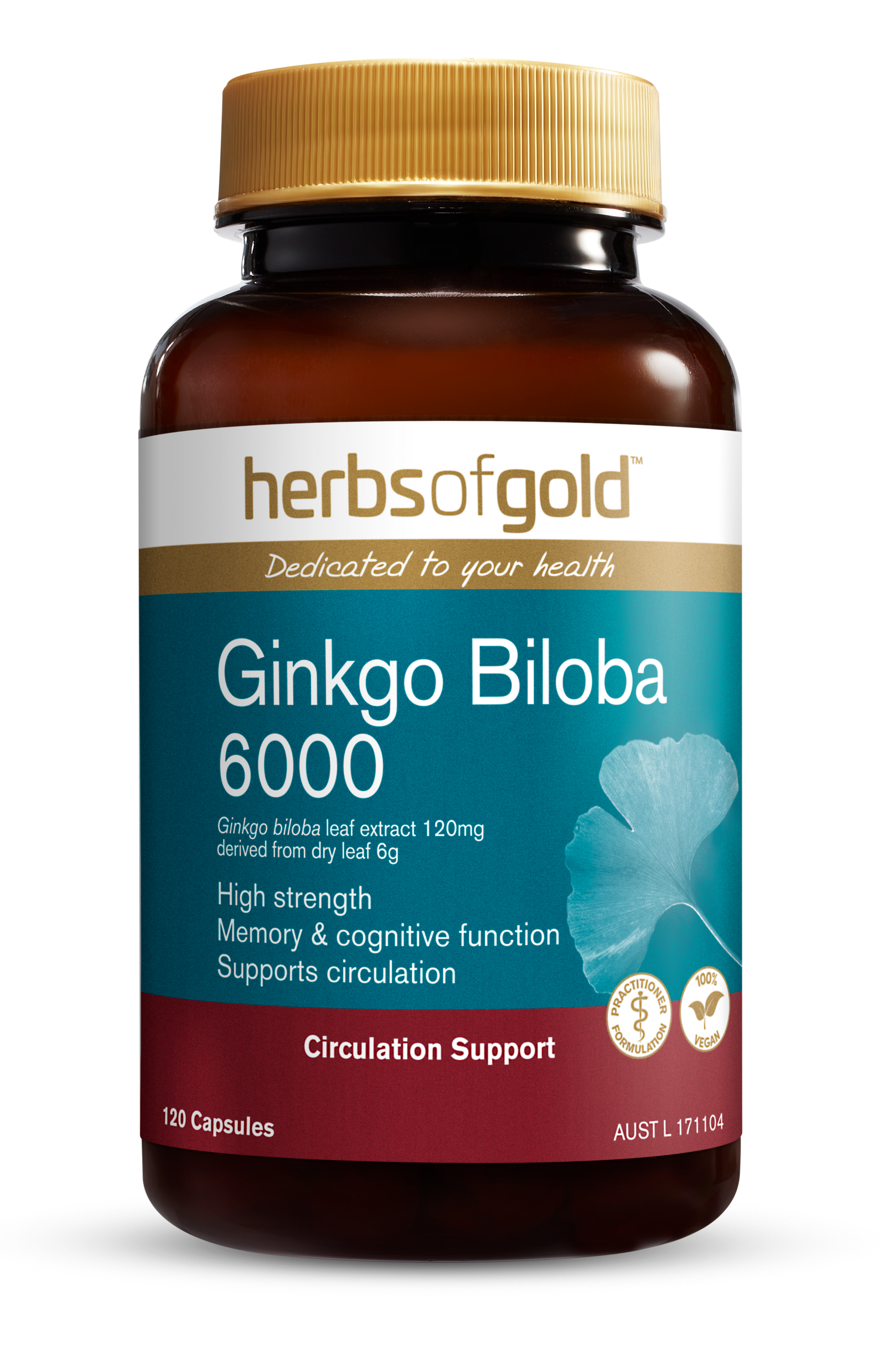 HG GINKGO BILOBA 6000