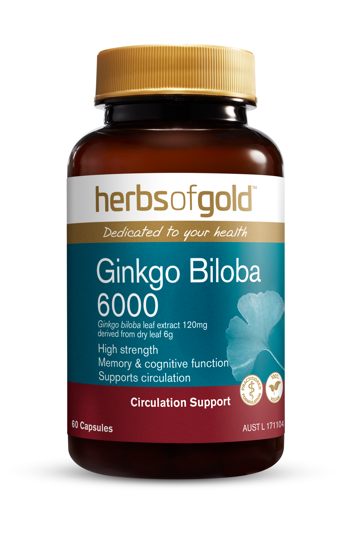 HG GINKGO BILOBA 6000