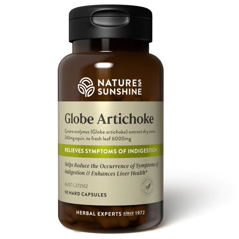 NS GLOBE ARTICHOKE 90C