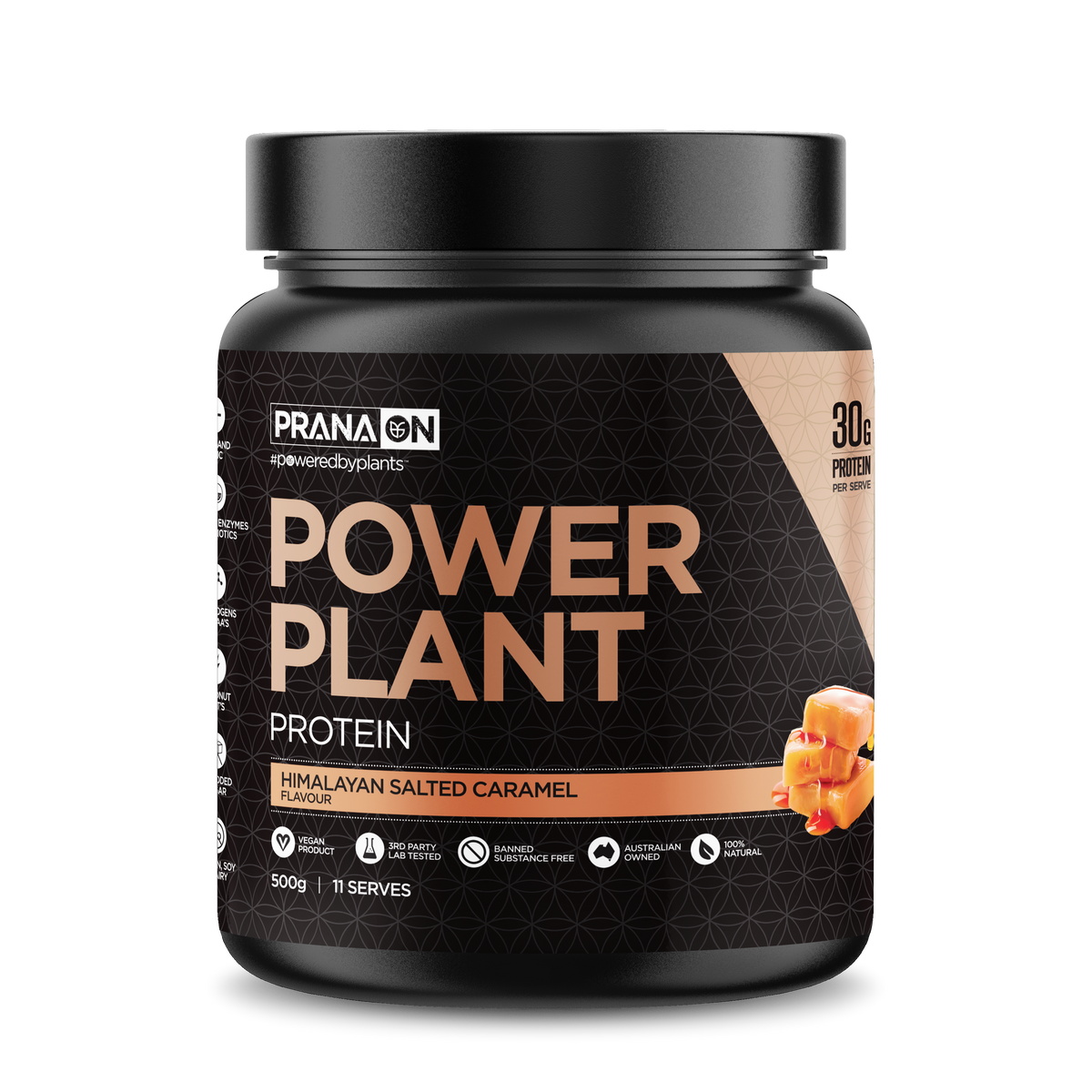 PRANA ON POWER PLANT PROTEIN