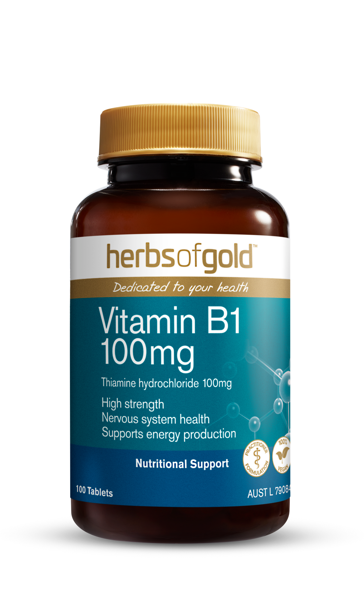 HG VITAMIN B1 100MG