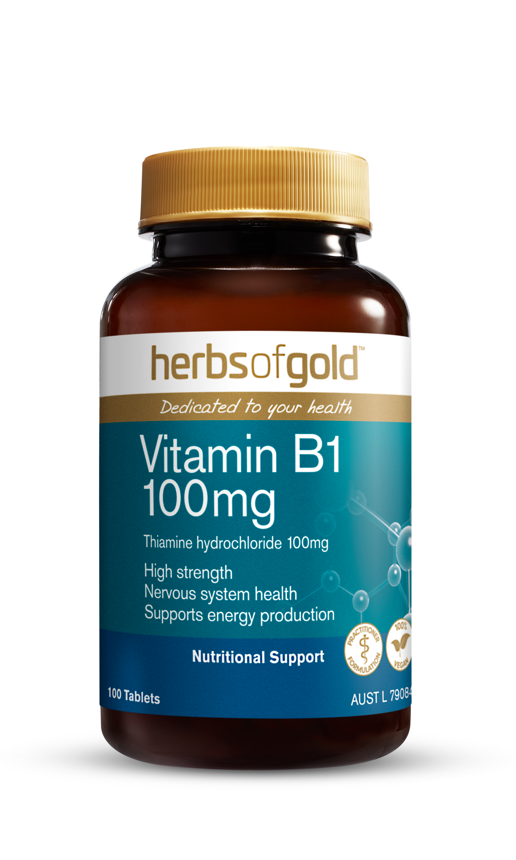 HG VITAMIN B1 100MG
