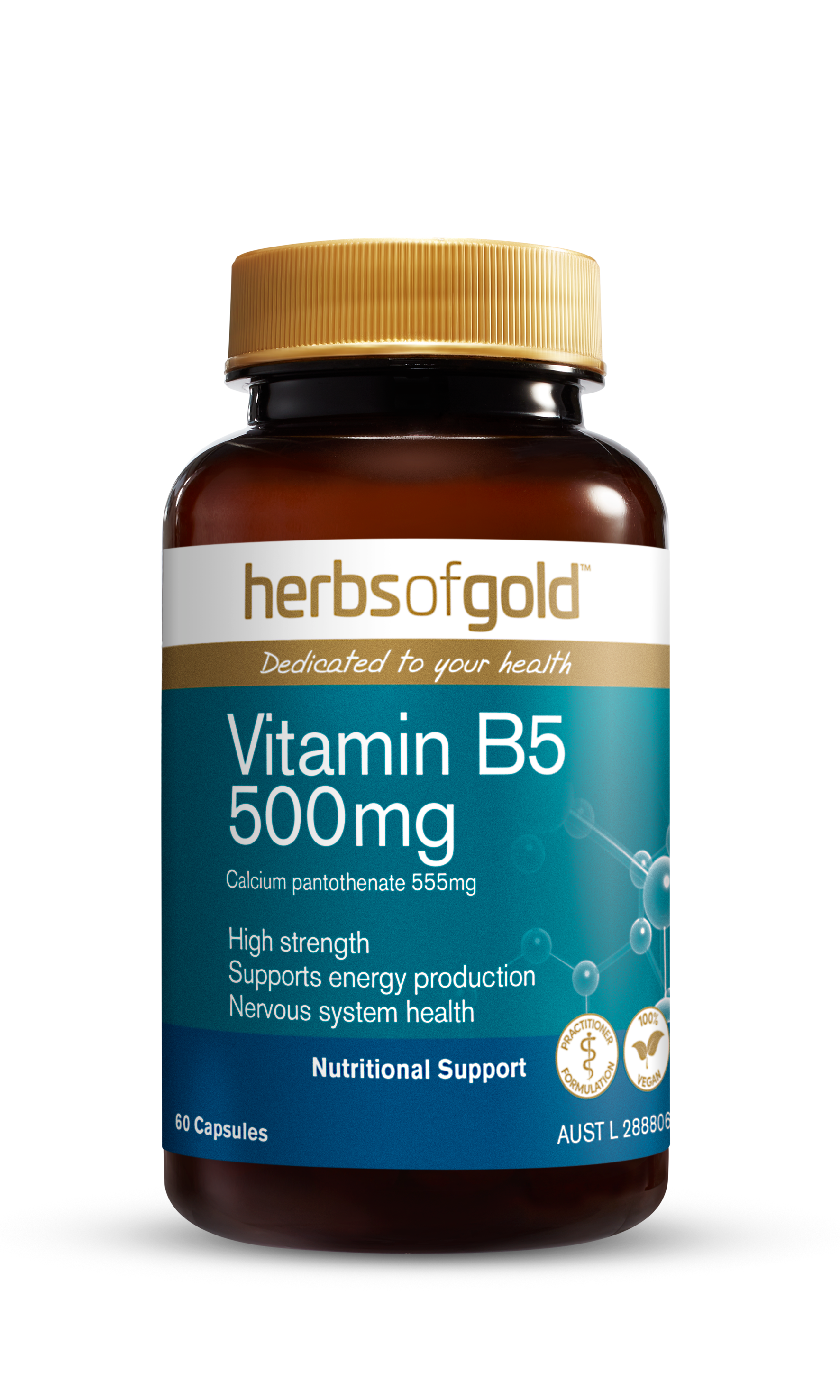 HG VITAMIN B5 500MG